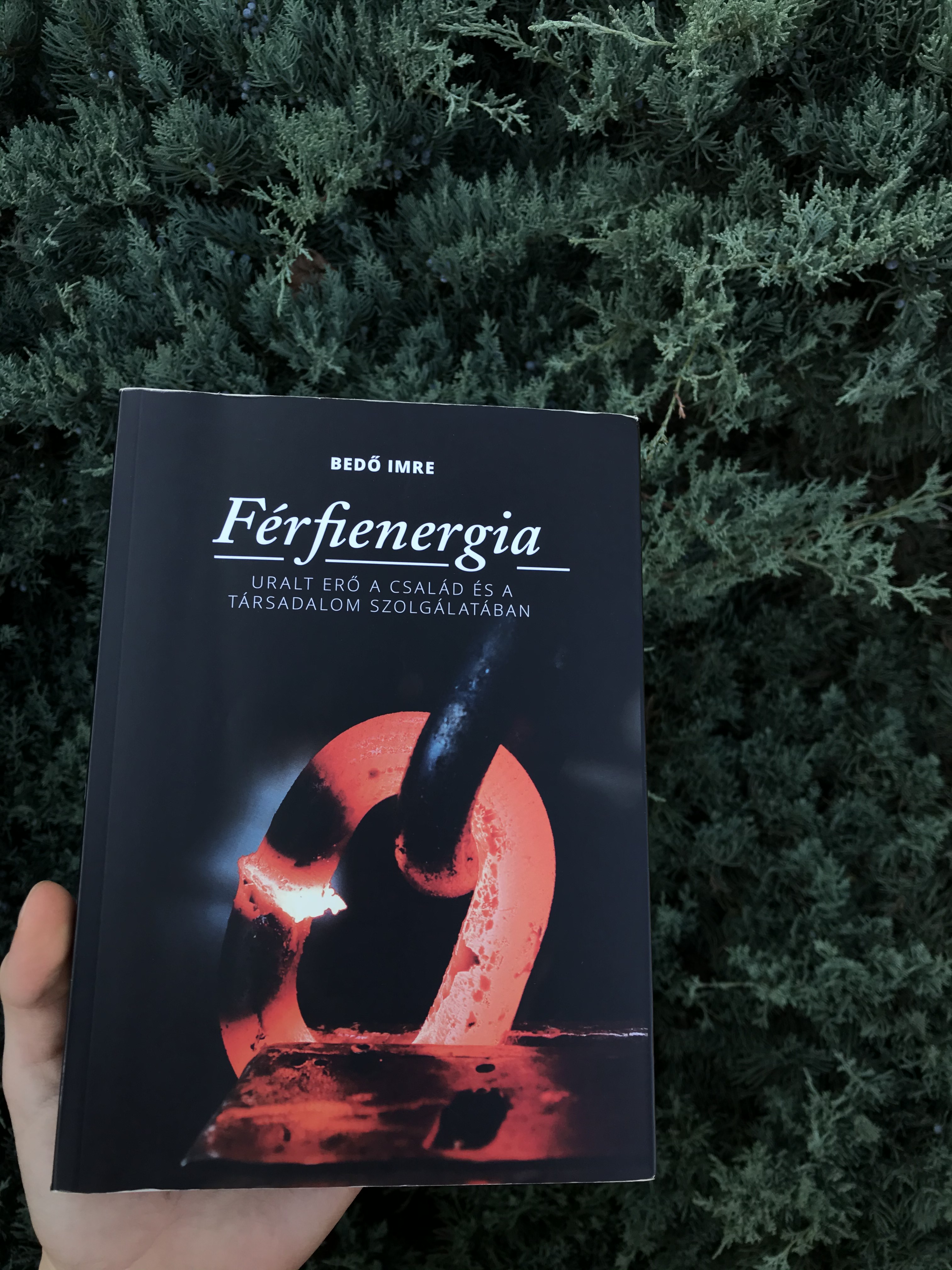 Bedő Imre: Férfienergia